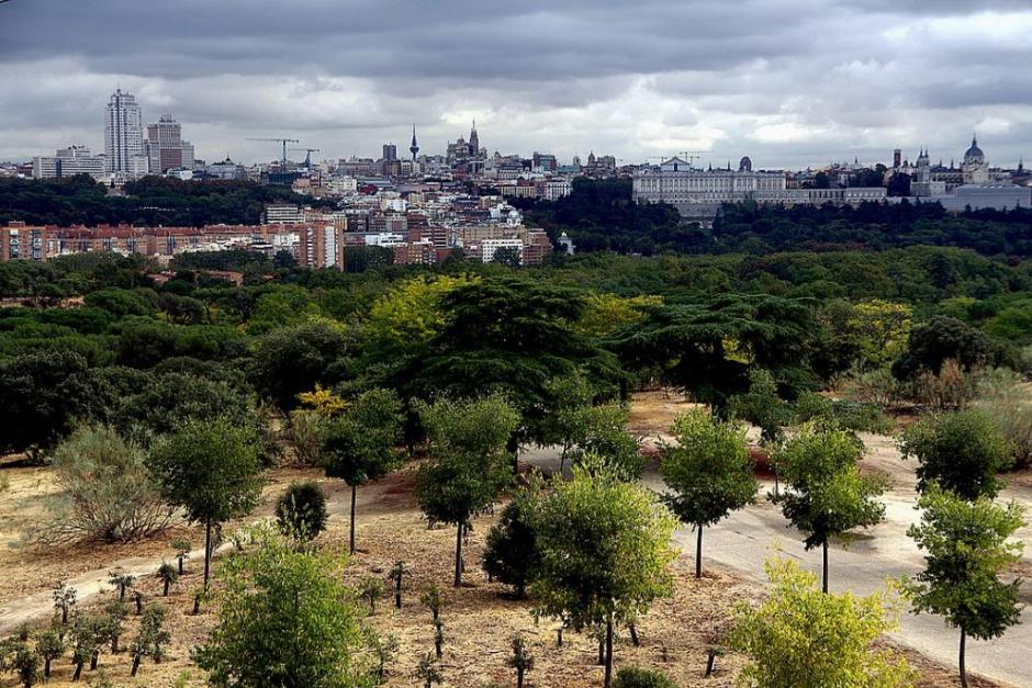 Vista de los árboles de Madrid Río
