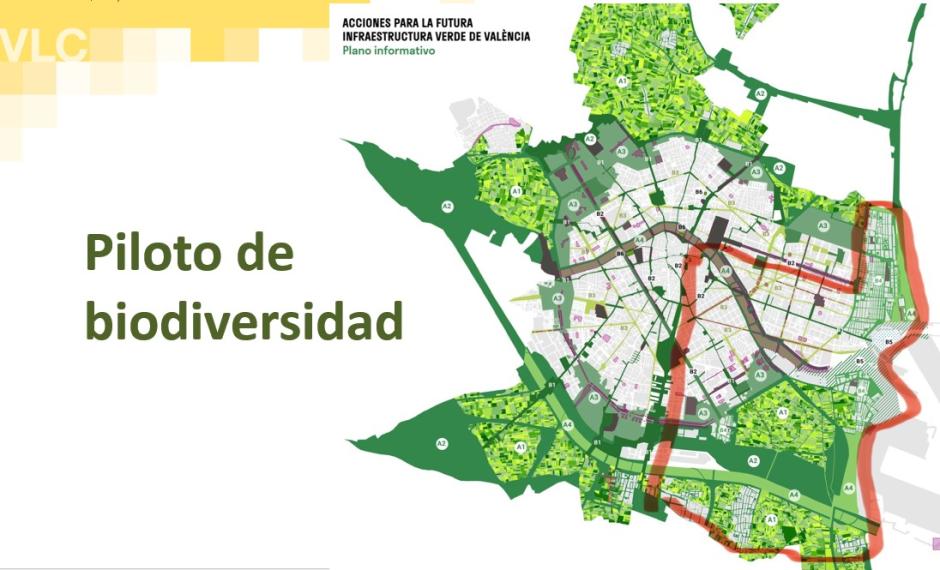 Piloto de Biodiversidad de Valencia