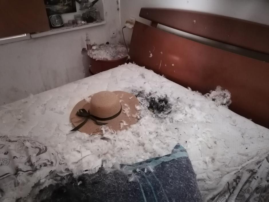 Imagen de una cama con un boquete en el colchón, producto de un disparo, en una vivienda del kibutz israelí Kisufim, a menos de 2 kilómetros de Gaza, asaltado por terroristas de Hamás el 7 de octubre.