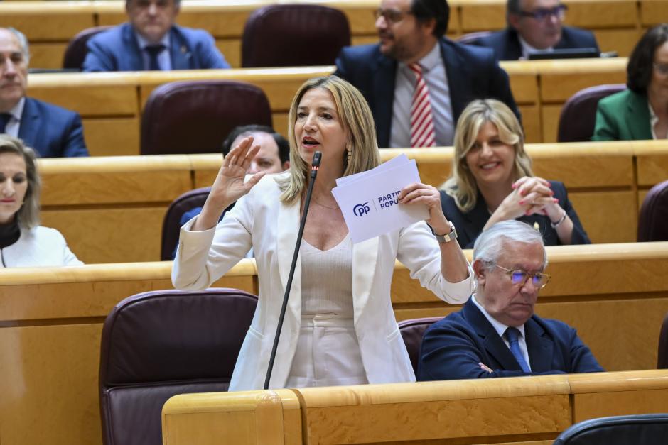 La portavoz del PP en el Senado, Alicia García