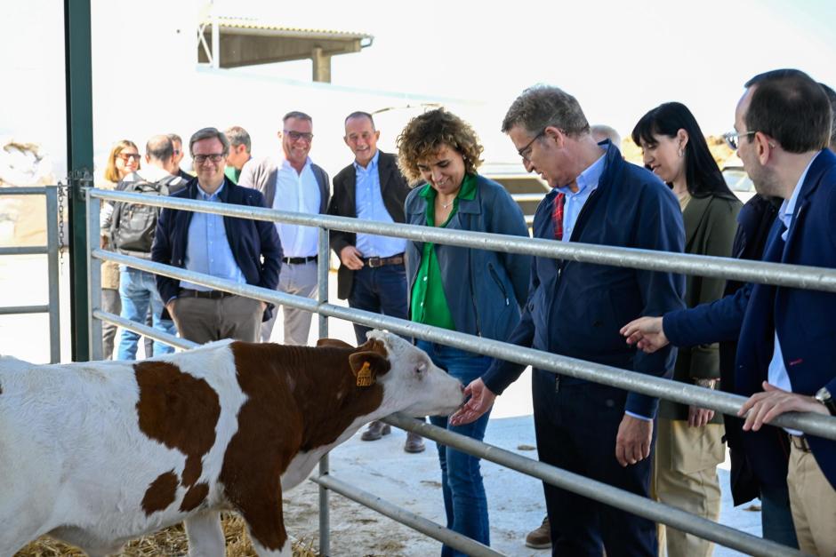 El presidente del PP, Alberto Núñez Feijóo, durante la visita a la granja de la Cooperativa de Ibars de Urgel (Lérida)