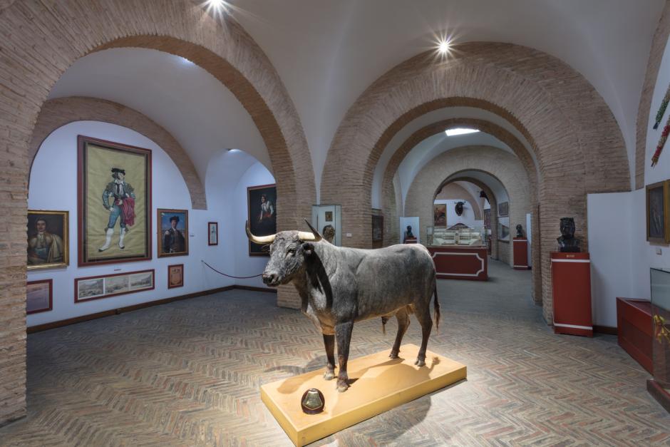 Imagen del museo de la Plaza