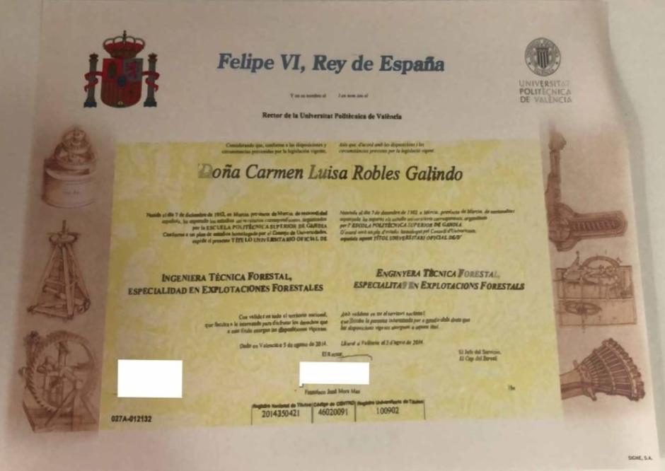 Diploma que acredita a Papi Robles como "ingeniera técnica"