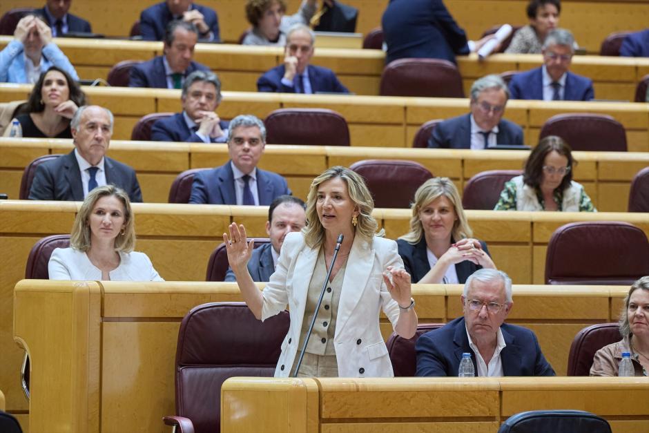 La portavoz del PP en el Senado, Alicia García