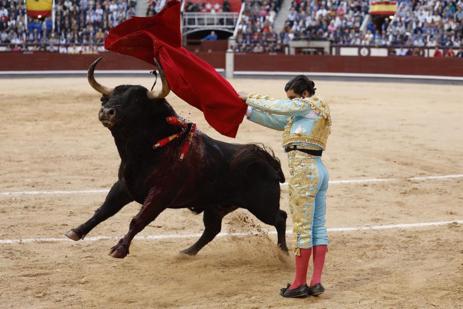 Morante de la Puebla, con un torro de Alcurrucén, en la Feria de San Isidro de 2023