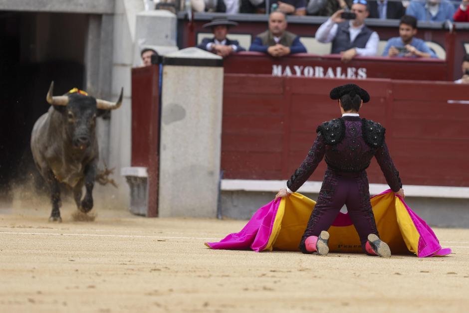 Miguel Ángel Perera recibe a su primer toro a porta gayola