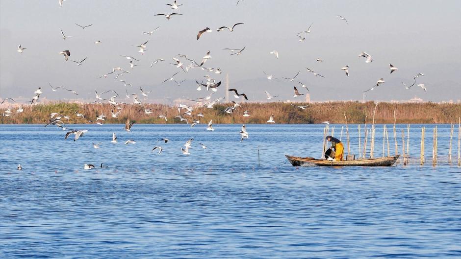 Una barca, en el Parque Natural de la Albufera, en Valencia