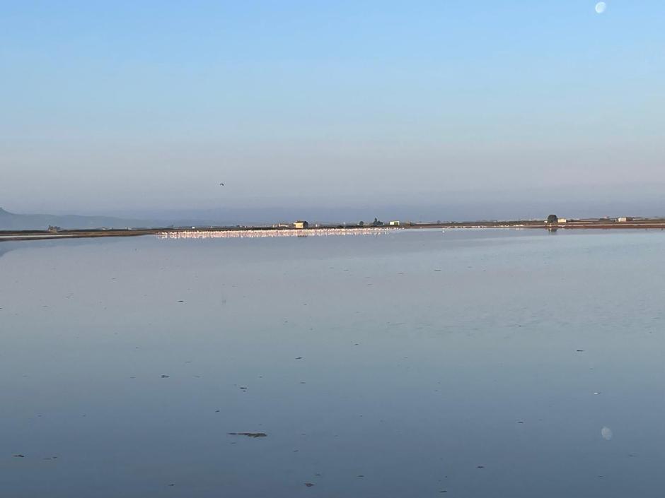 Vista de la laguna de La Albufera