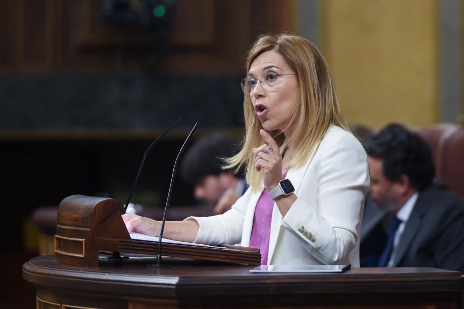 La vicesecretaria de Igualdad, Conciliación y Política Social del PP, Ana Alós interviene durante una sesión plenaria, en el Congreso