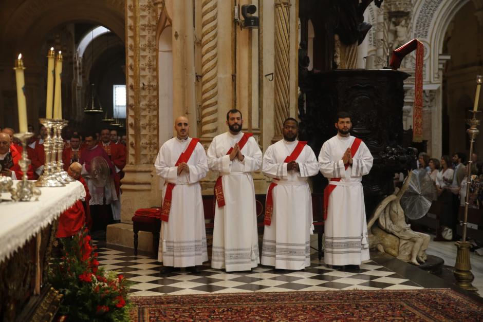 Nuevos sacerdotes ordenados en la Catedral