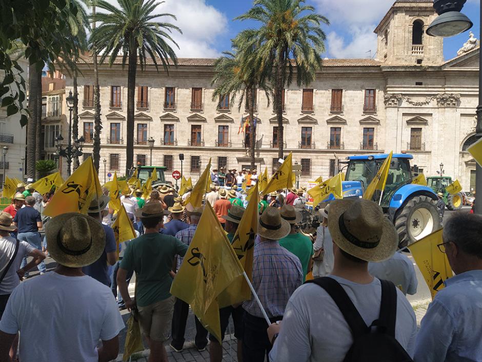 Concentración de agricultores valencianos que reclaman medidas urgentes al Gobierno central y la Unión Europea