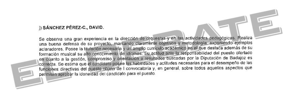 Los argumentos que usó la diputada del PSOE para fichar a David Sánchez