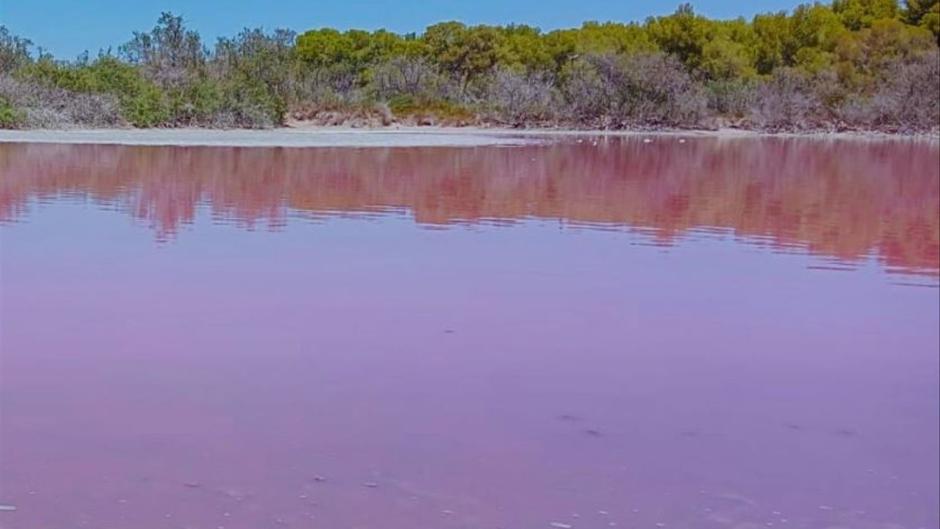 Actual color del agua de la Albufera, Valencia