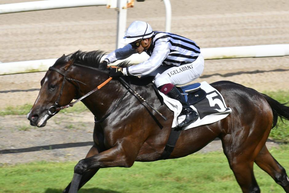 "Vamos Niño" con Jaime Gelabert  - 2ª Carrera "Premio Critérium Nacional M.A.P.A."