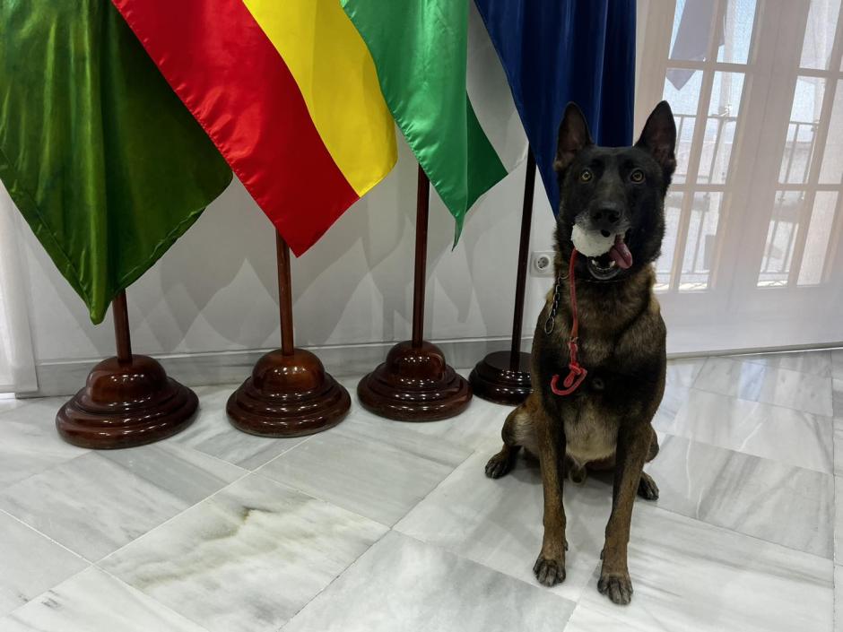 Desde el Ayuntamiento de Vejer han agradecido esta nueva incorporación a Pedro Jesús Guerrero, dueño de Karin