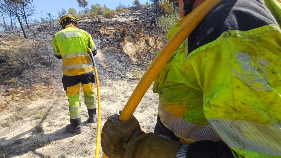 El incendio de Benasau pone de nuevo a prueba la capacidad de respuesta de los equipos de emergencia y su habilidad para coordinar esfuerzos en circunstancias extremas en las que varios incendios concurren a la vez en el territorio, como el desencadenado en Biar y que después de unas horas logró sofocarse. La lucha para la extinción completa de las llamas continúa, con la esperanza de que el trabajo de bomberos y otros efectivos logre finalmente controlar el fuego provocando el mínimo daño medioambiental.