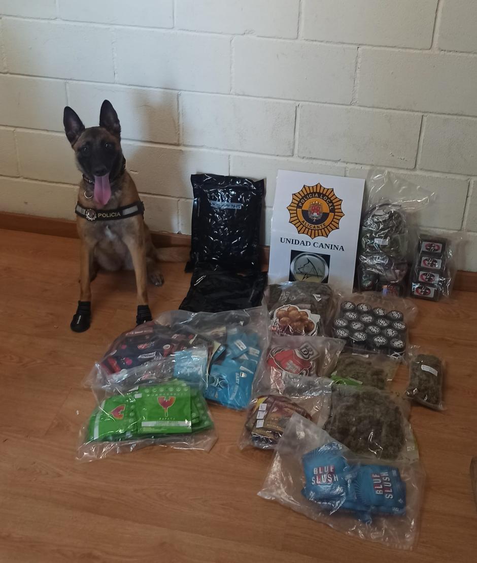 Material incautado gracias a la perra de la Unidad Canina de la Policía Local de Alicante