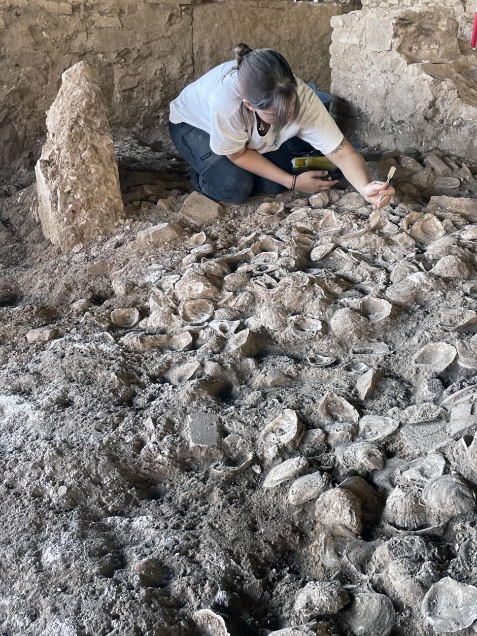 Trabajos junto al Anfiteatro de Mérida descubren una gran acumulación de ostras