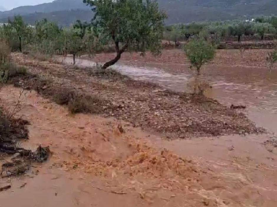 Una tierra inundada tras las fuertes lluvias y granizadas producidas en la Comunidad Valenciana