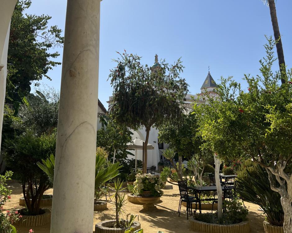 Desde el jardín pueden verse las cúpulas de los edificios colindantes