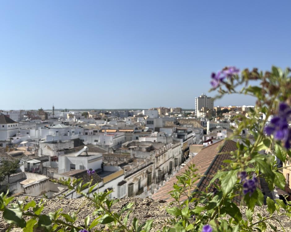 Desde el establecimiento puede observarse gran parte de Sanlúcar