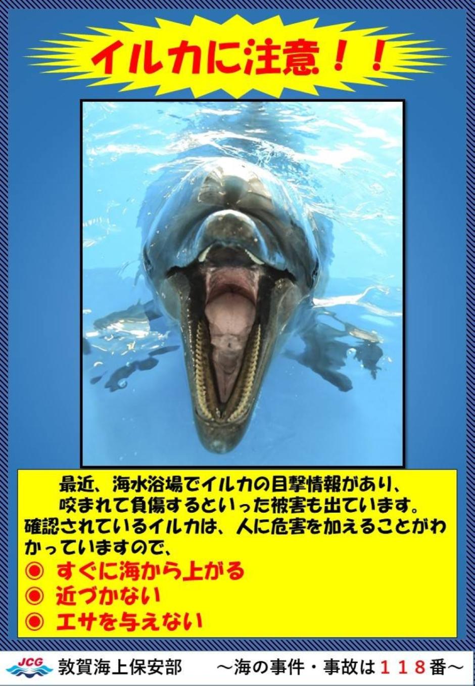 Cartel de advertencia por los ataques de delfines en Japón