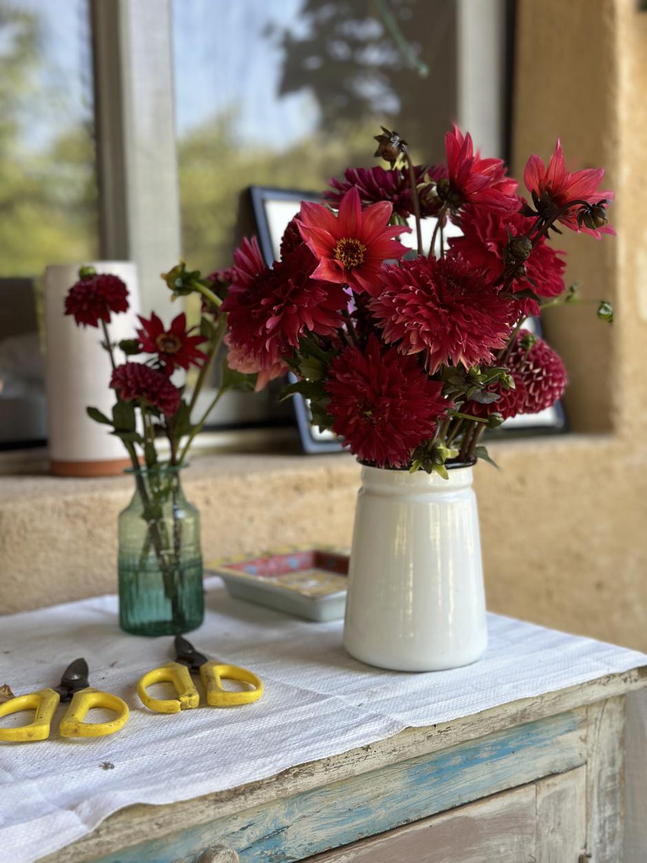 Flores orgánicas de Leticia Rodríguez de la Fuente