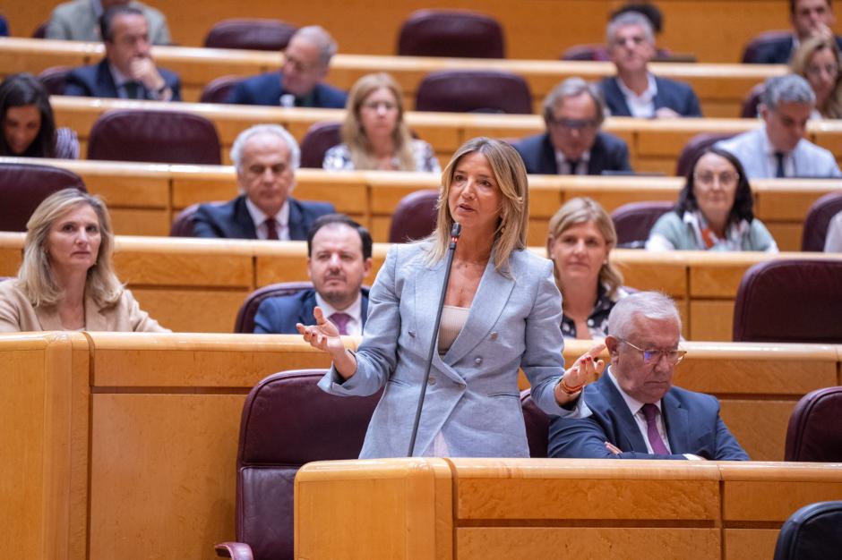 La portavoz del PP en el Senado, Alicia García