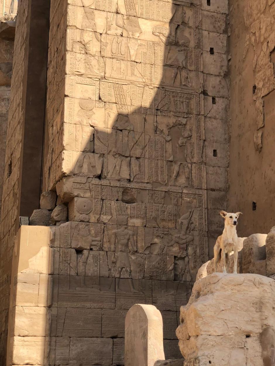 El programa de la UCA tiene como fin la conservación de uno de los lugares históricos más destacados globalmente