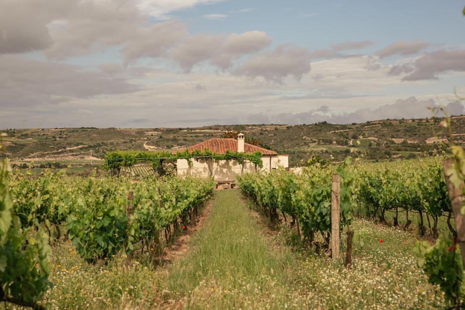 Finca Los Castejones, de la bodega Marqués de Riscal