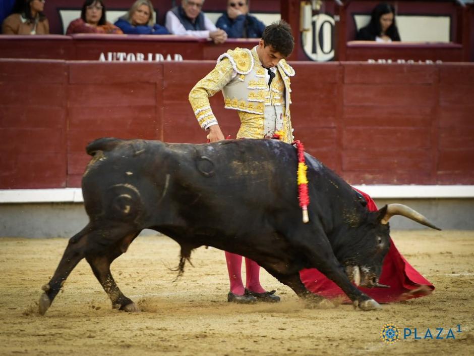 Alejandro Chicharro toreó con una cornada de dos trayectorias sufrida ayer