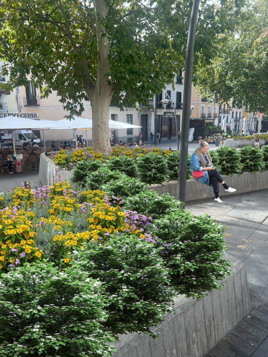 Futuro cambio de la Plaza de Tirso