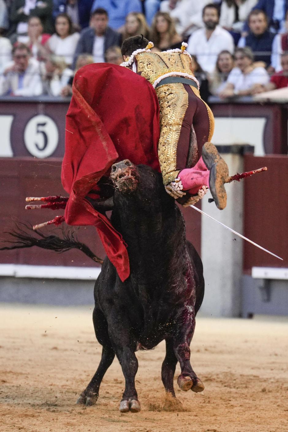 Fernando Adrián, cogido por el tercer toro de su lote (quinto de la tarde)