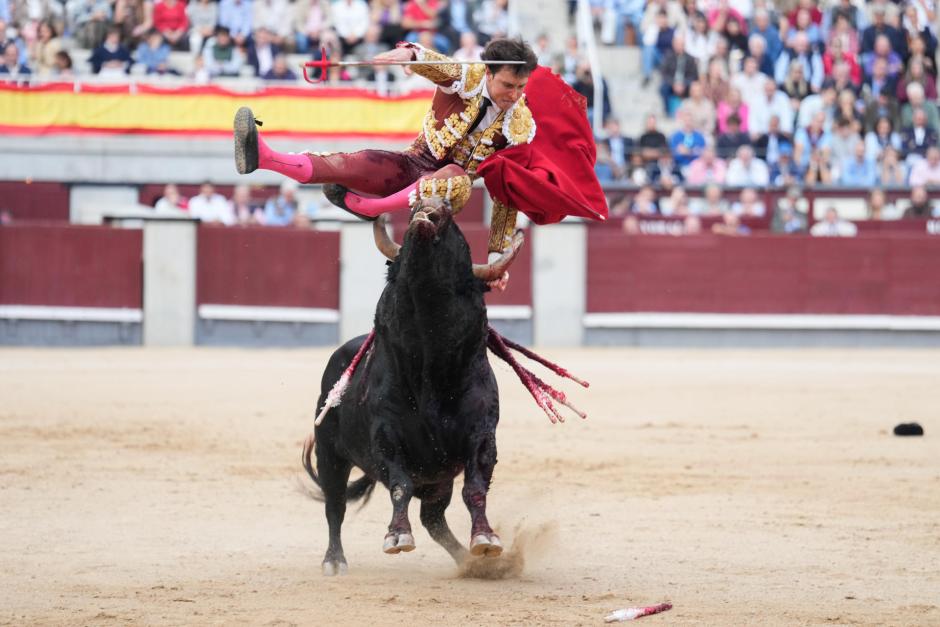 El toro «Soplón», de 557 kilos, levanta al matador peruano