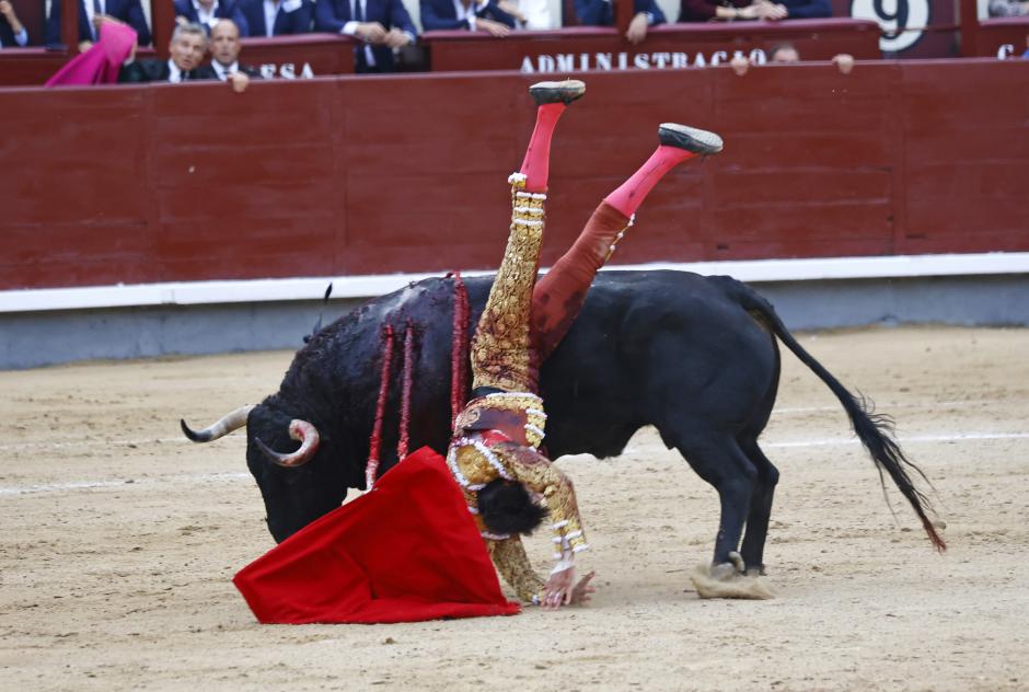 La cogida se produjo cuando el distro trataba de rematar una serie de derechazos con un pase de pecho. El toro de Fuente Ymbro alzó a Roca Rey en el muslo derecho y quedó a merced del astado durante unos dramáticos segundos.