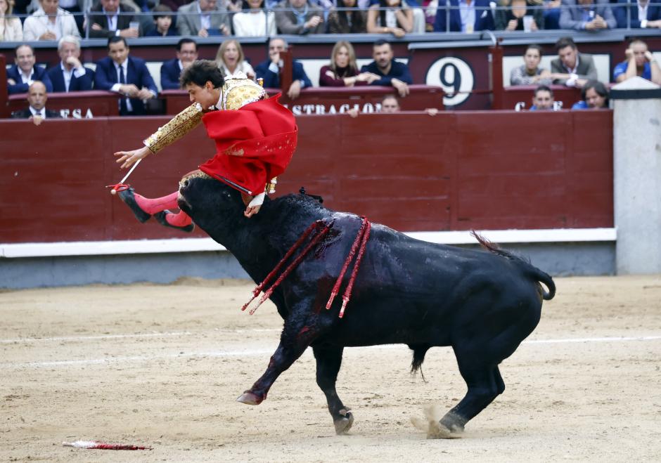 Pese a la gravedad de la cogida, Roca Rey remató la faena hundiendo la espada en el todo, lo que le valió una oreja que fue recibida con división de opiniones entre el público.