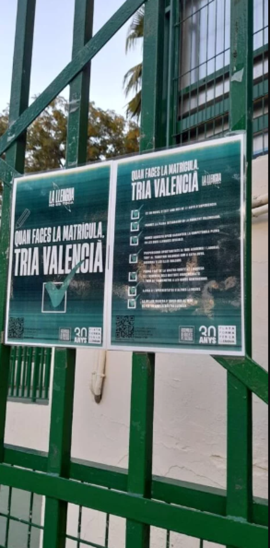 Carteles en las escuelas valencianas sobre el idioma en que deben estudiar sus hijos, según denuncia Hablamos Español