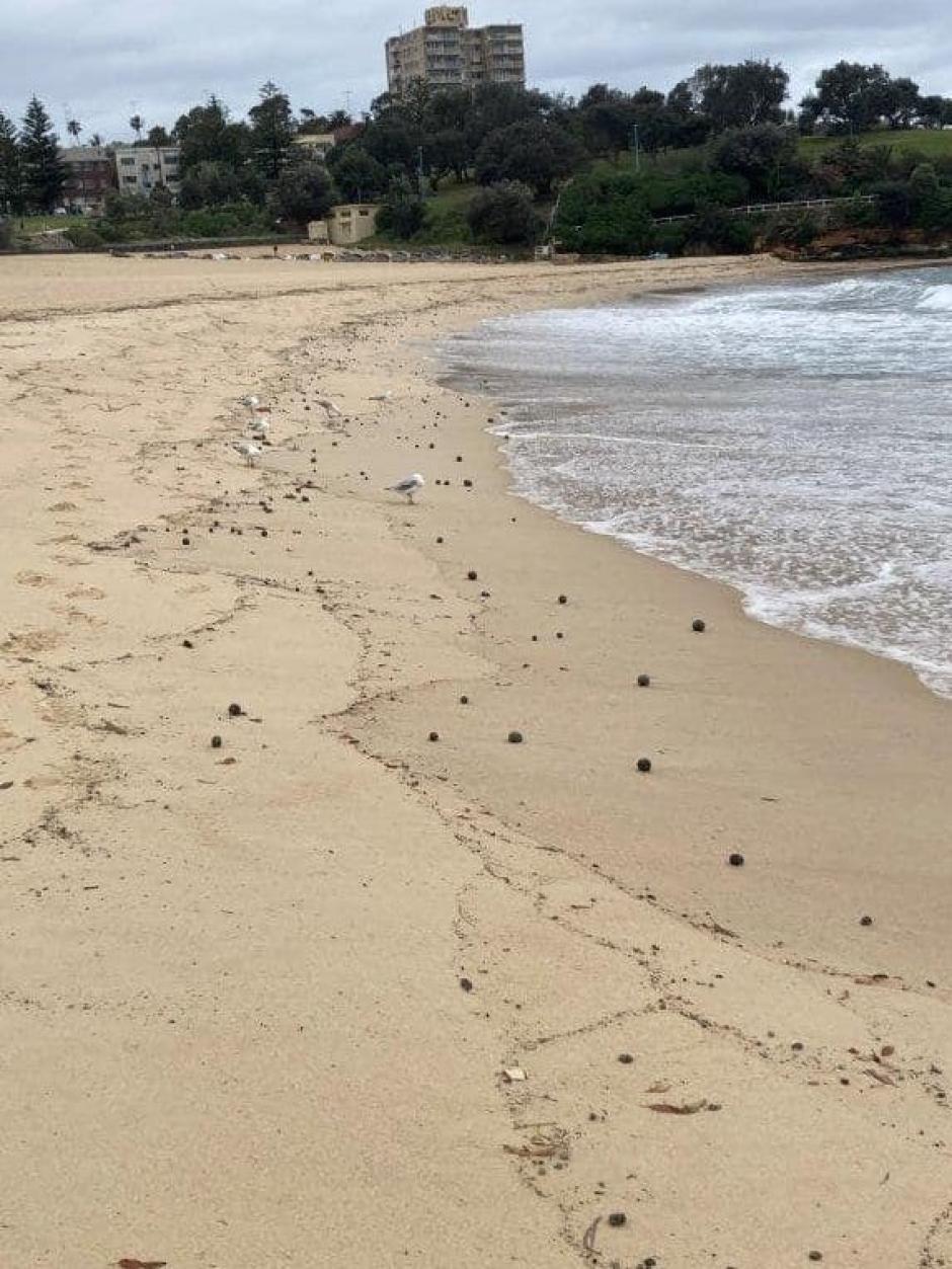 Bolas negras esparcidas por la orilla