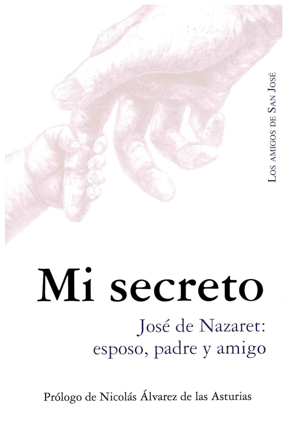 El libro que recomienda el obispo de Orense