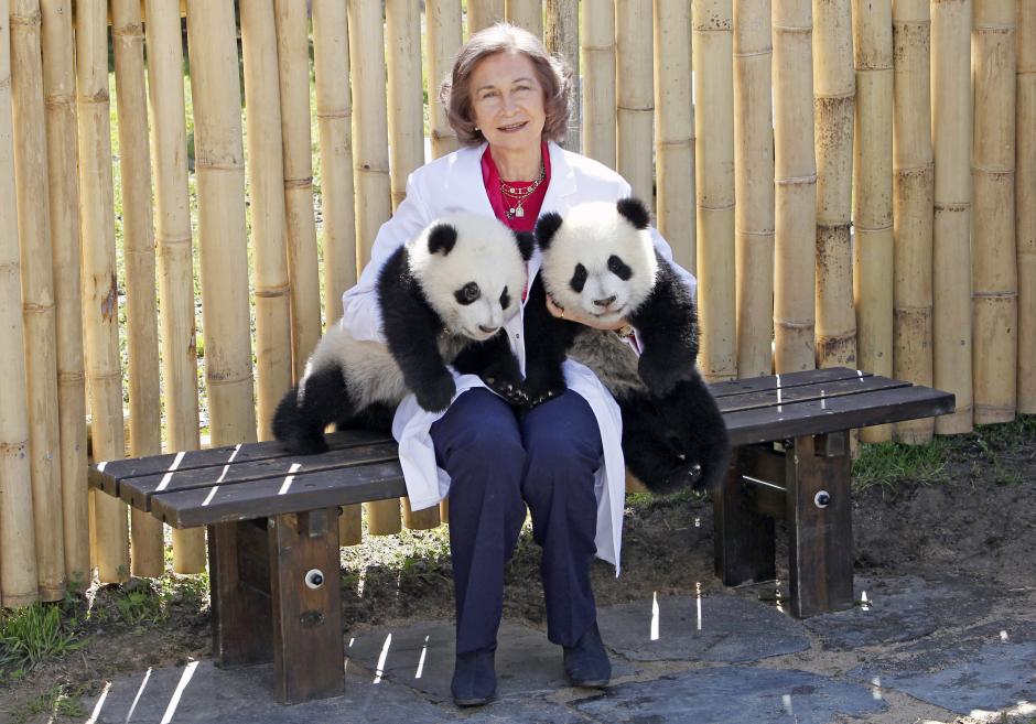 LA REINA DE ESPAÑA SOFIA DE GRECIA DURANTE UNA VISITA AL ZOO DE MADRID
En la foto con los osos panda "Po" y "De De"
29/03/2011
MADRID