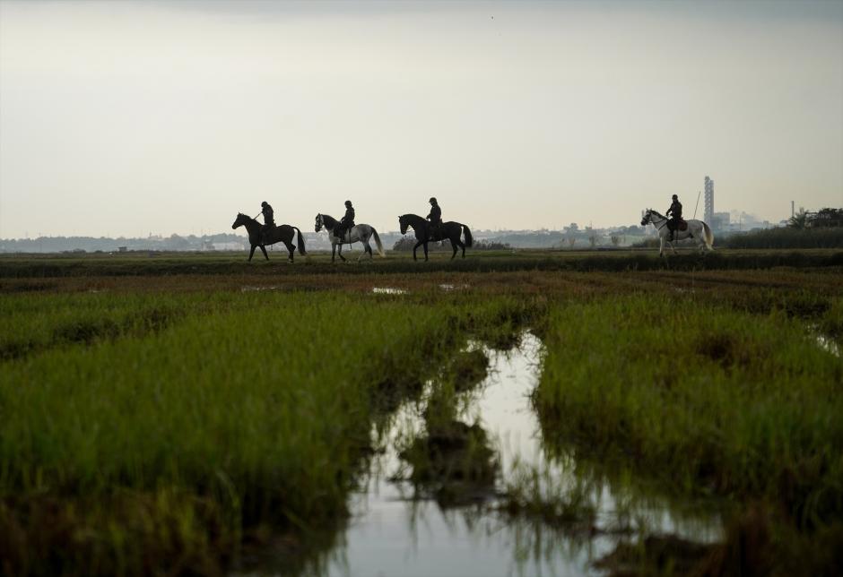 Varios agentes de la Guardia Civil siguen buscando cuerpos en la Albufera, a 15 de noviembre de 2024, en Valencia