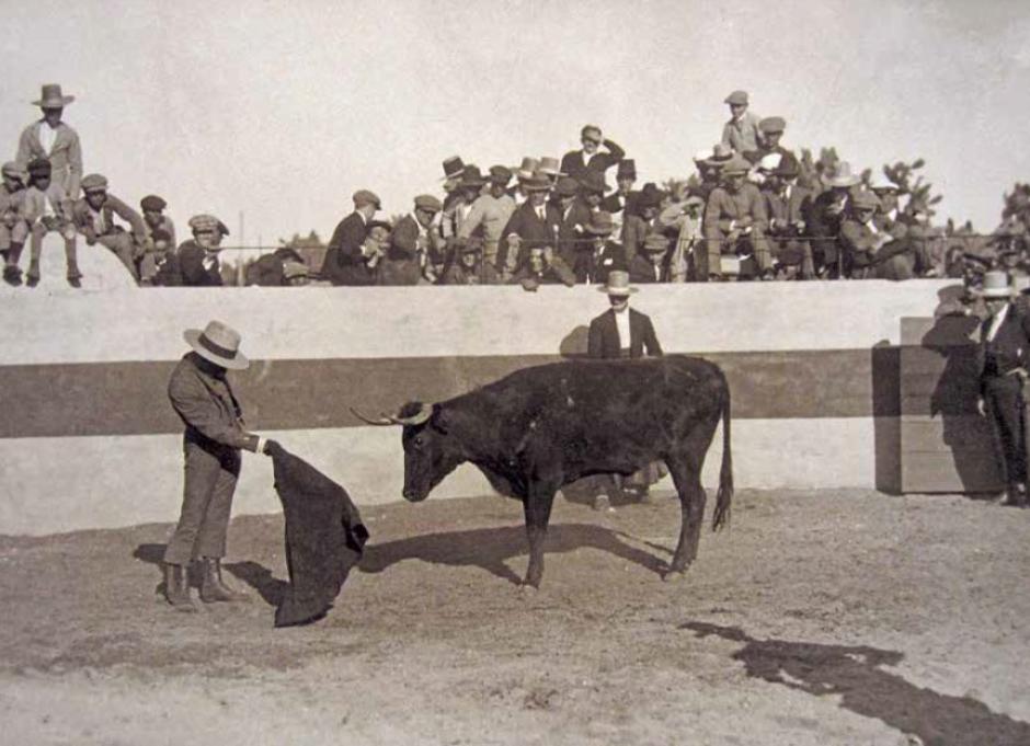 Belmonte citando al natural a una vaca en puntas