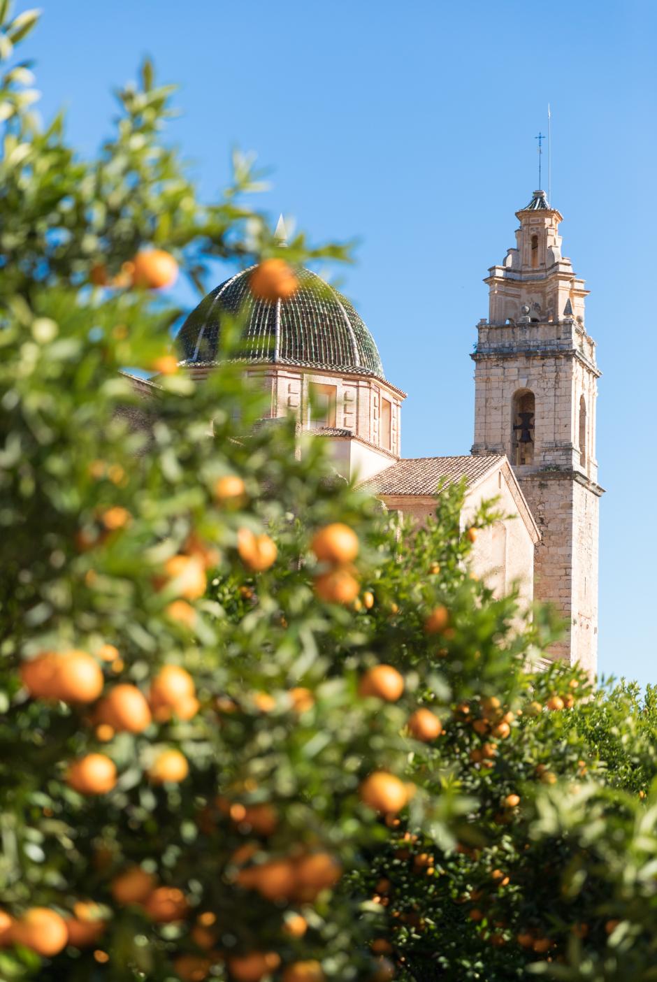 Real Monasterio de Santa Maria de la Valldigna, Simat de la Valldigna (Valencia)