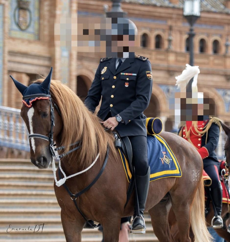 El caballo Pomo, en una imagen de archivo