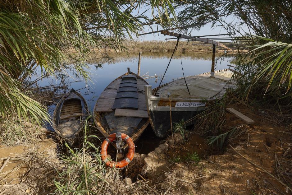 Situación actual de la Albufera de Valencia tras el paso de la DANA