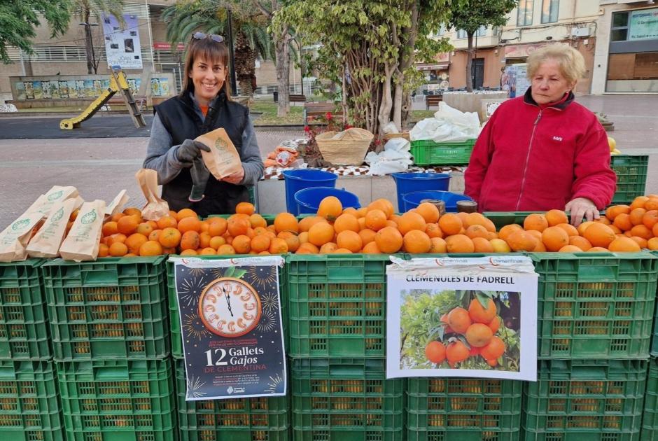 Reparto de las primeras bolsas con gajos de naranjas para celebrar la Nochevieja en Castellón