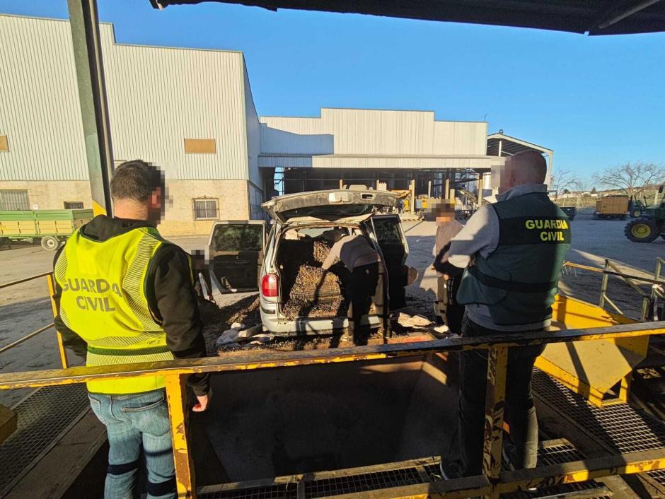 Aceituna incautada por la Guardia Civil