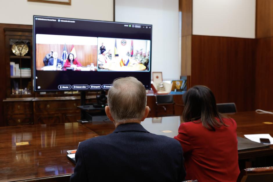 Un momento de la videoconferencia