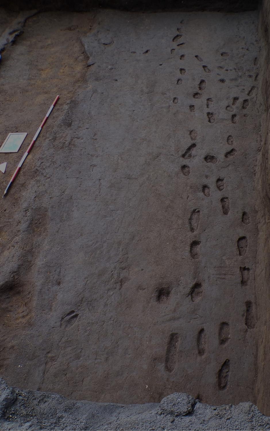 Las huellas dejadas por personas de la Edad del Bronce que huían de una erupción del Vesubio