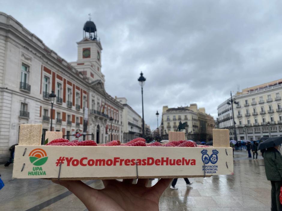 Caja de fresas de Huelva ofrecida por UPA en la Puerta del Sol